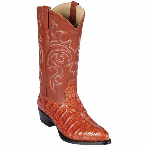 Botas de Cocodrilo Caiman Cola Horma Puntal main image 1