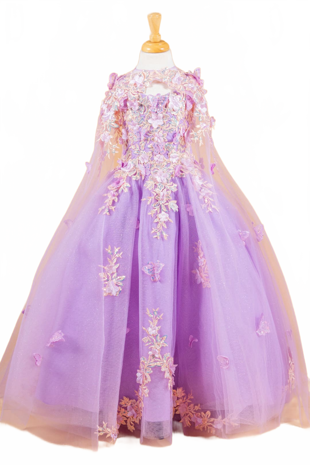 Background removed image