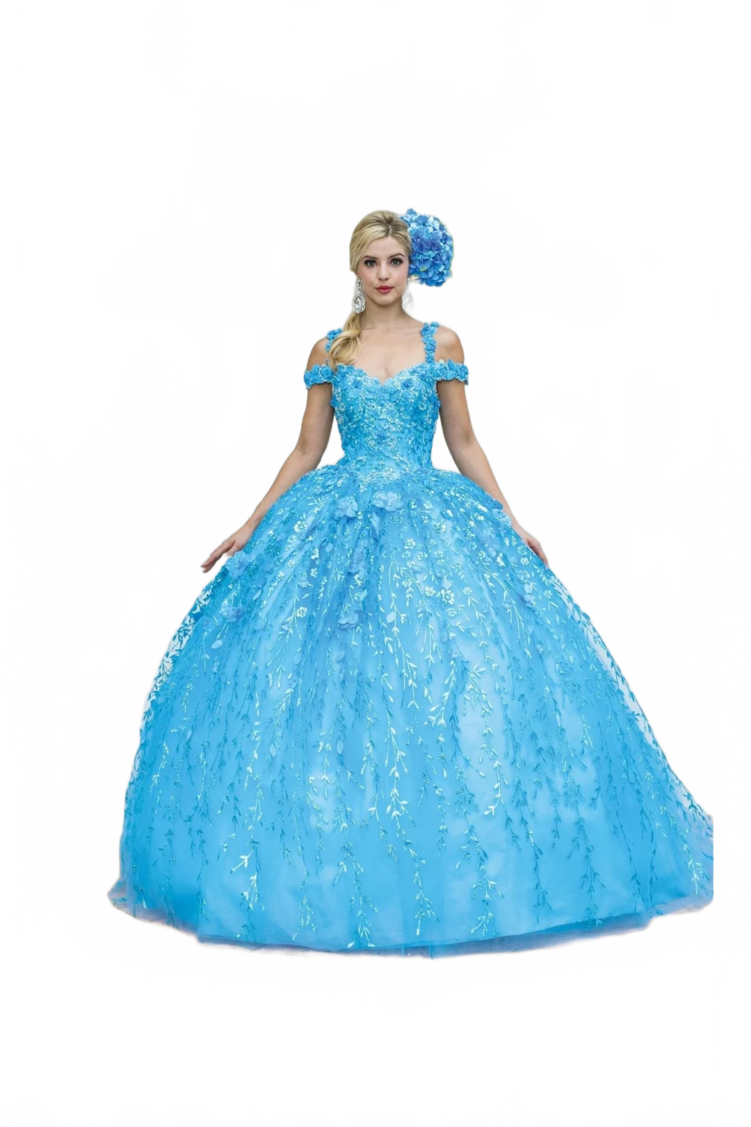 Background removed image