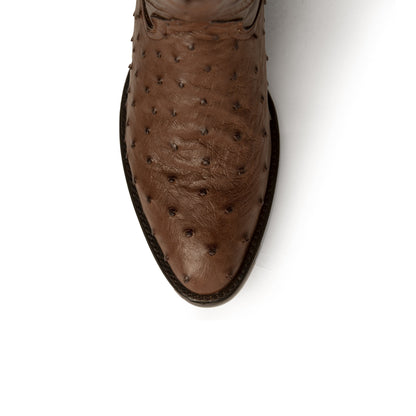 Colt - Men's Full Quill Ostrich