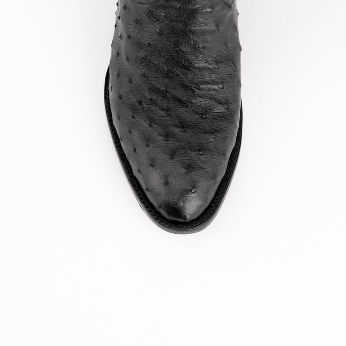 Colt - Men's Full Quill Ostrich