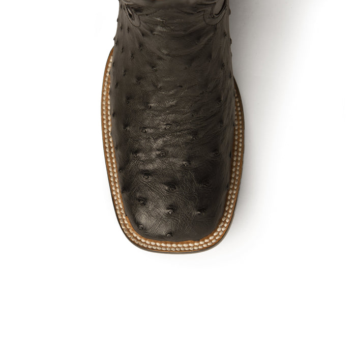 Colt - Men's Full Quill Ostrich