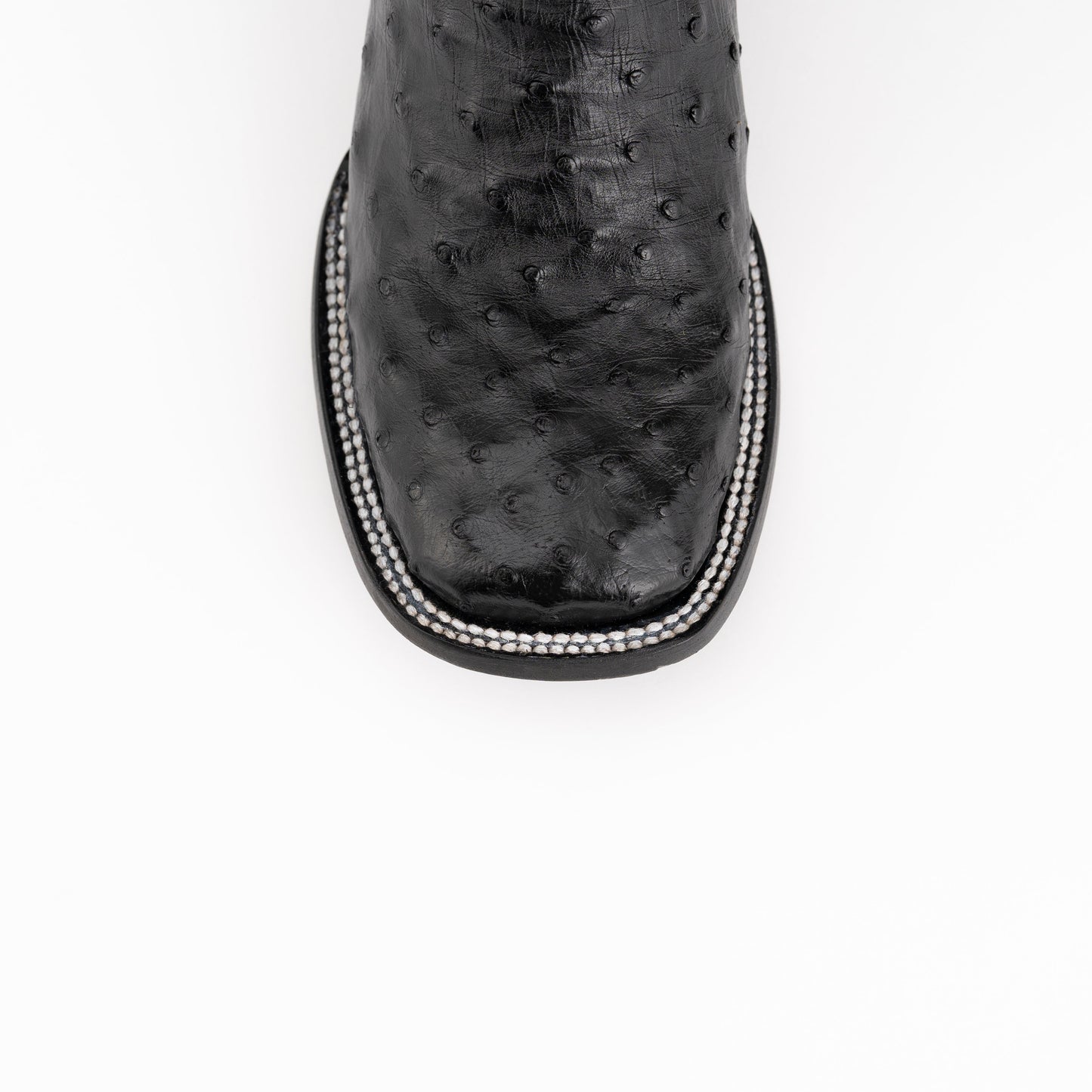 Colt - Men's Full Quill Ostrich
