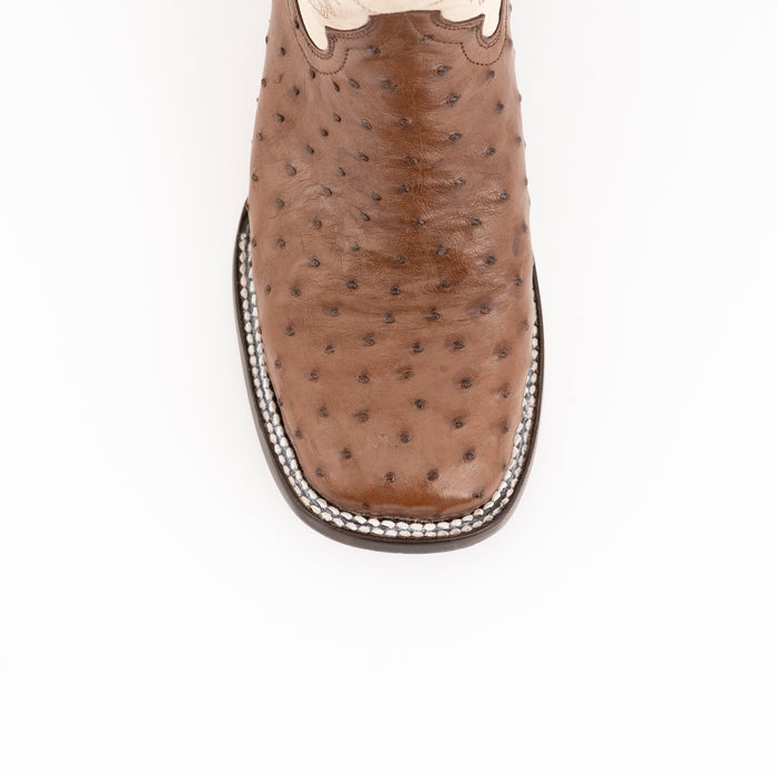 Colt - Men's Full Quill Ostrich