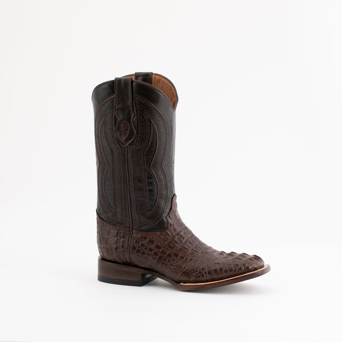 Hornback Caiman Dakota