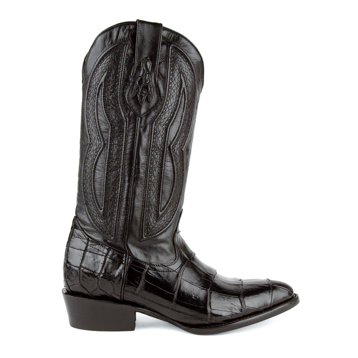 Stallion - American Alligator
