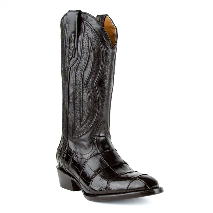 Stallion - American Alligator