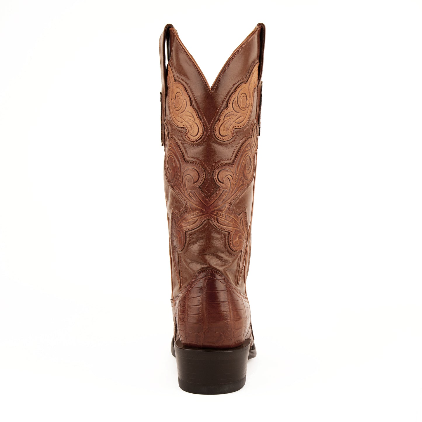 Stallion - American Alligator