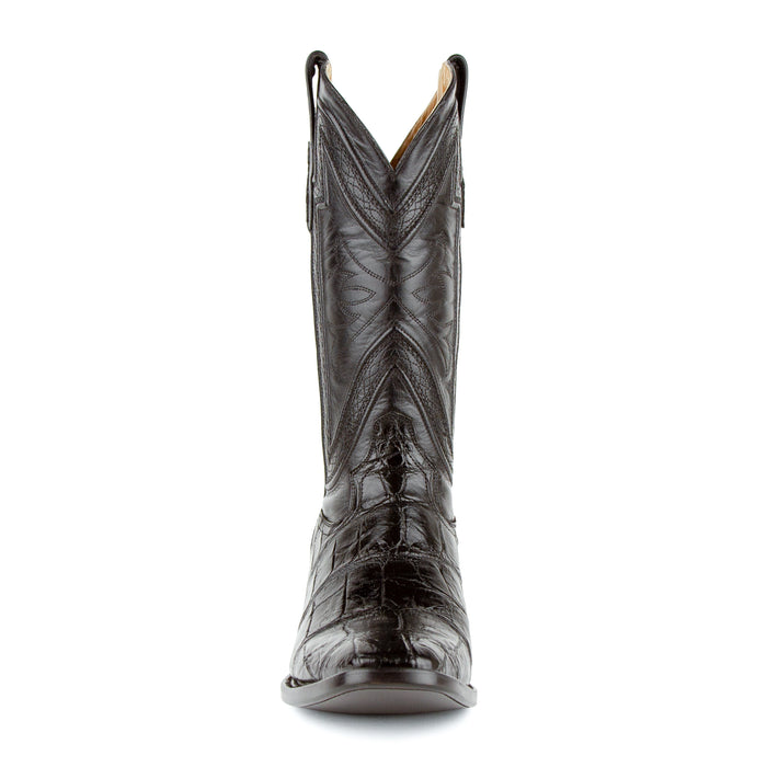 Stallion - American Alligator