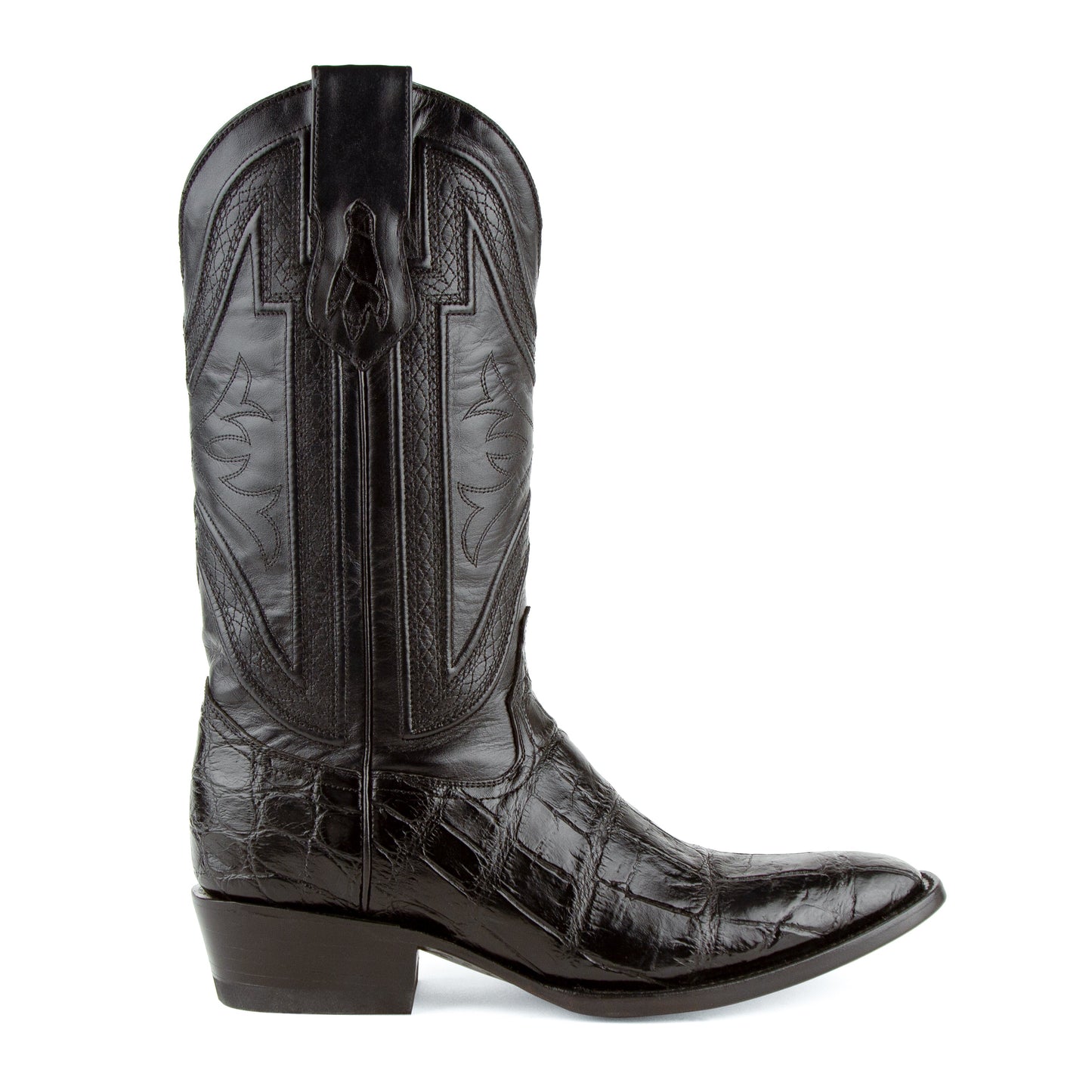 Stallion - American Alligator