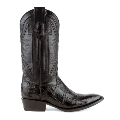 Stallion - American Alligator