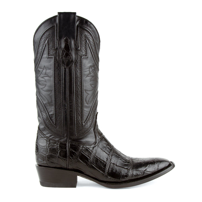 Stallion - American Alligator