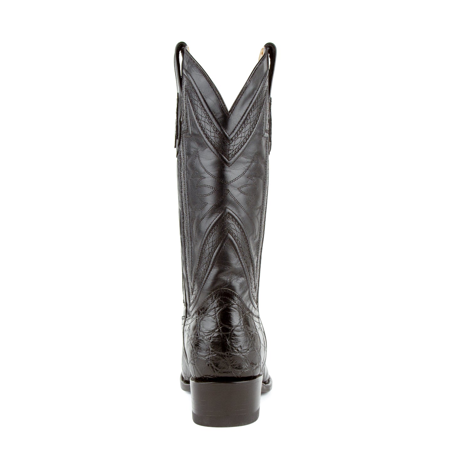 Stallion - American Alligator
