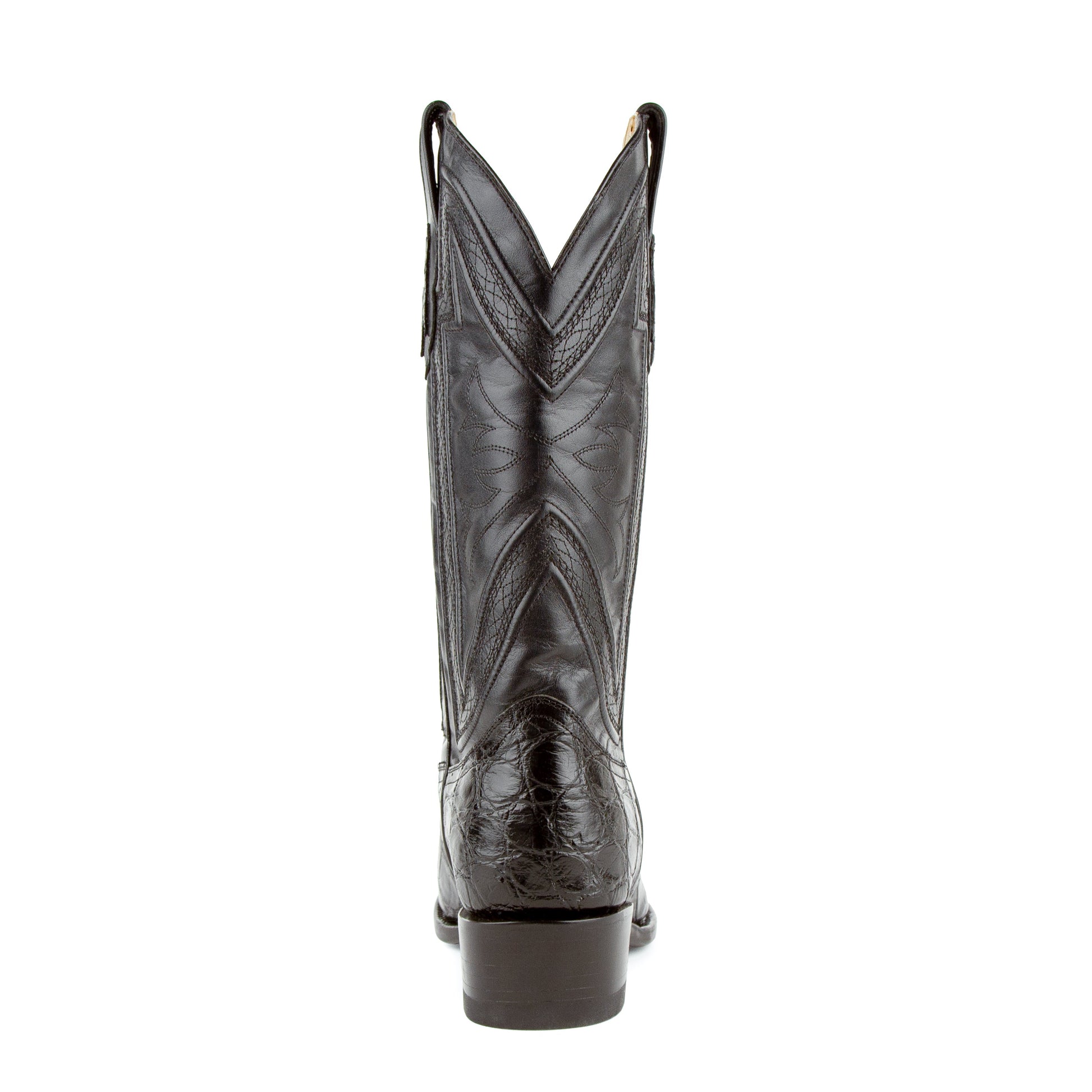 Stallion - American Alligator