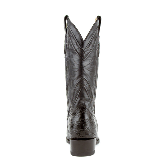 Stallion - American Alligator