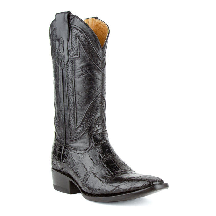 Stallion - American Alligator