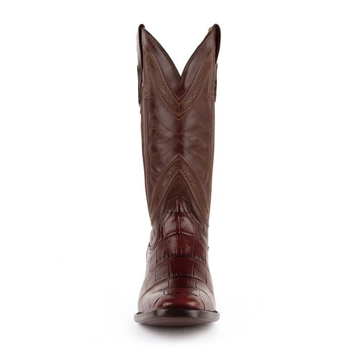 Stallion - American Alligator