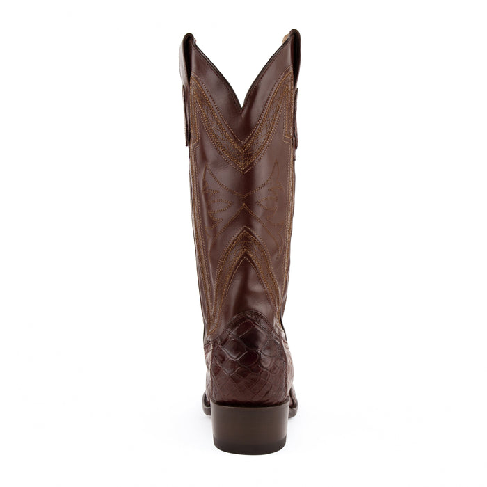 Stallion - American Alligator
