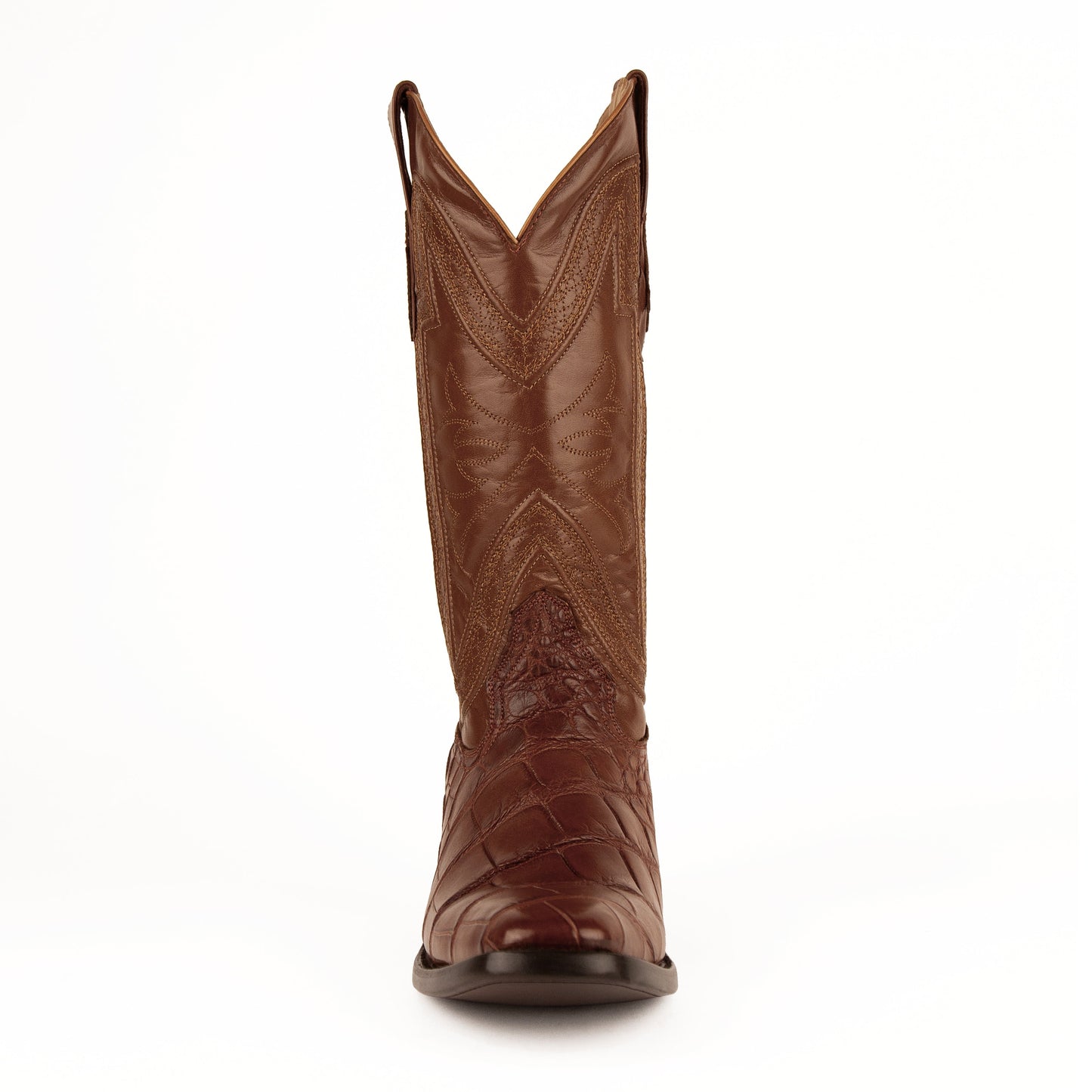 Stallion - American Alligator