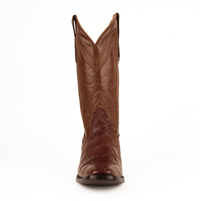Stallion - American Alligator