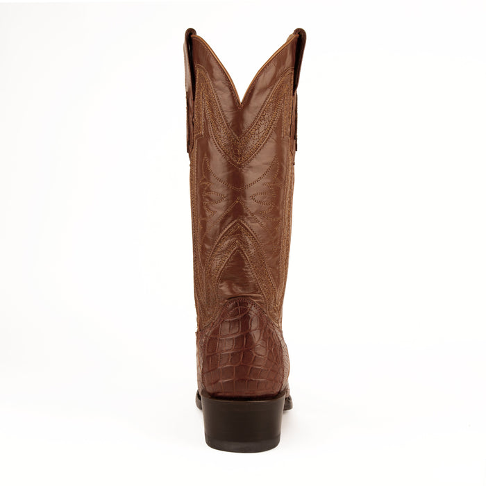 Stallion - American Alligator