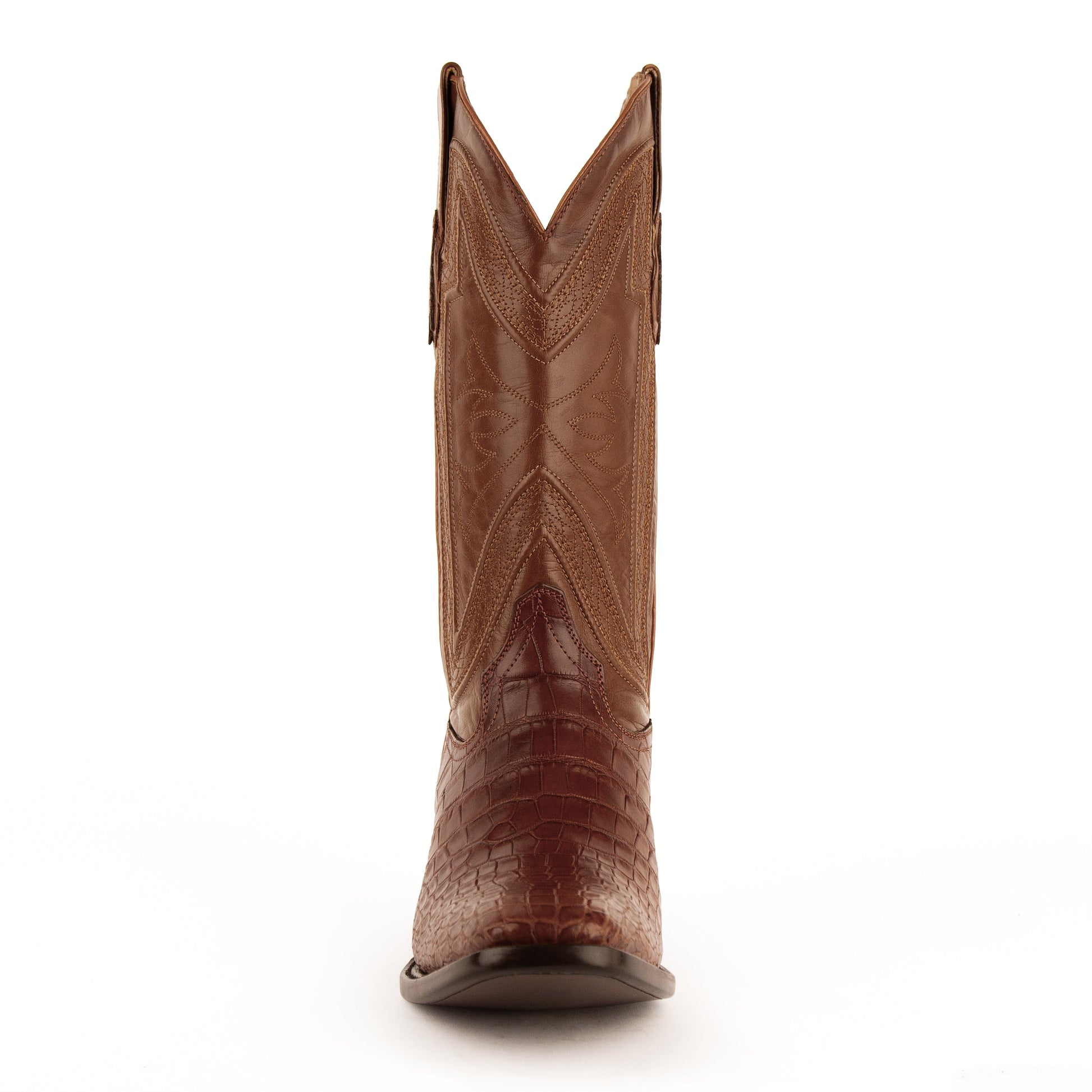 Stallion - American Alligator