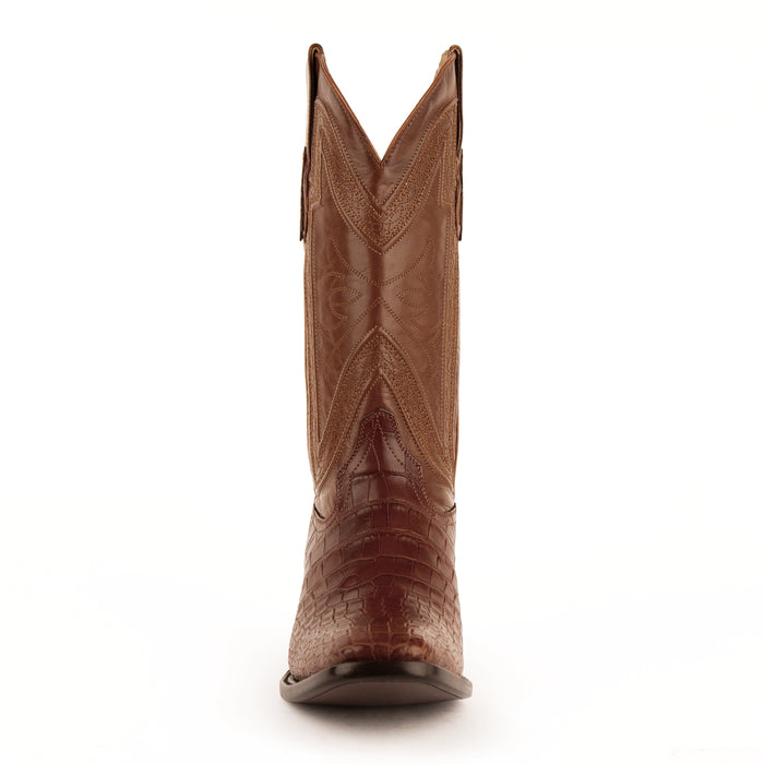 Stallion - American Alligator
