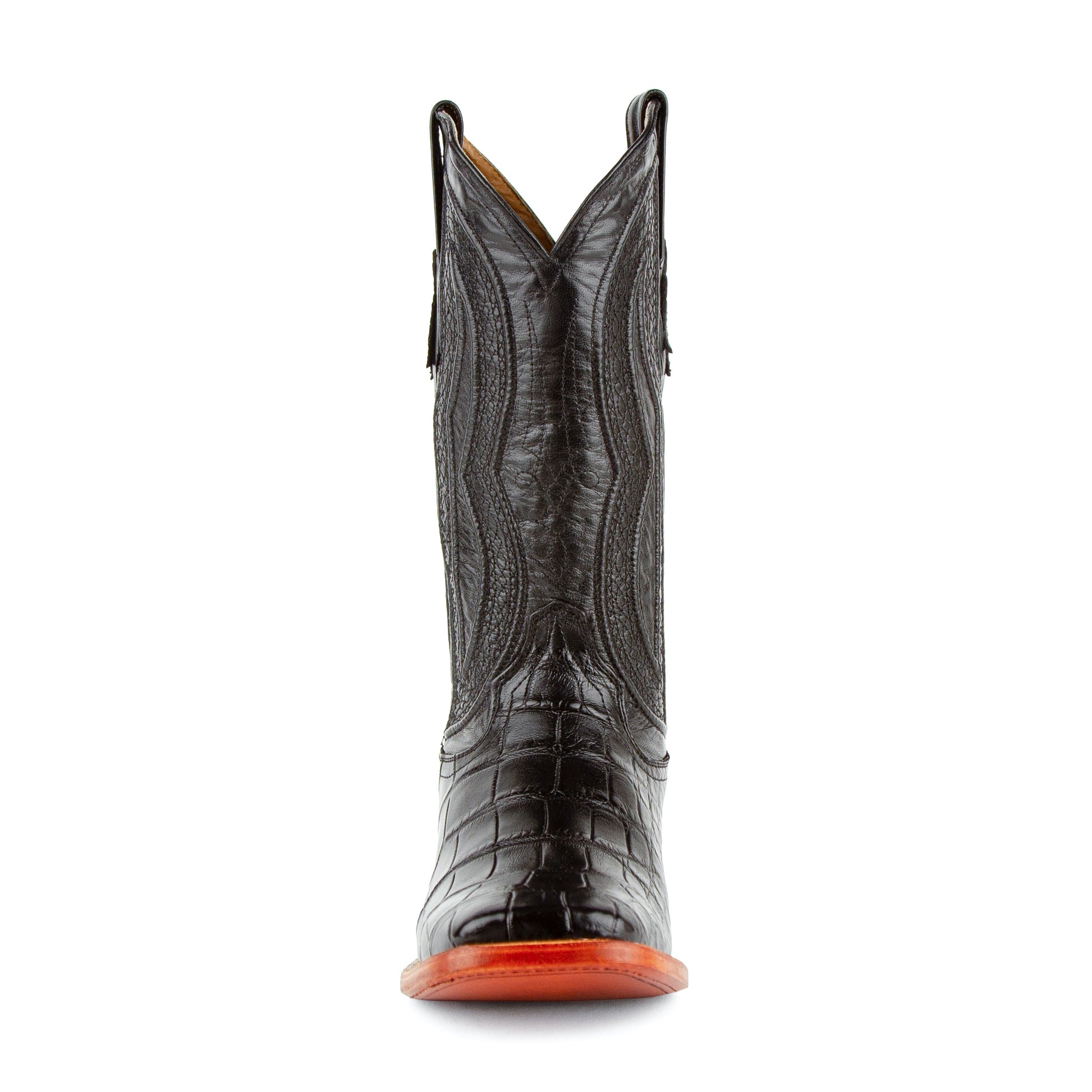 Stallion - American Alligator