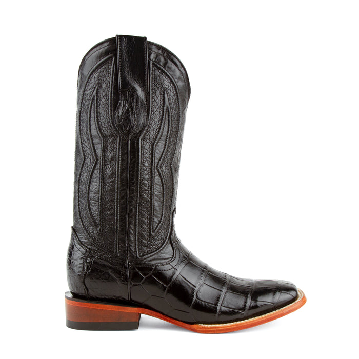 Stallion - American Alligator