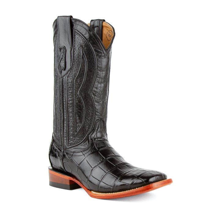 Stallion - American Alligator