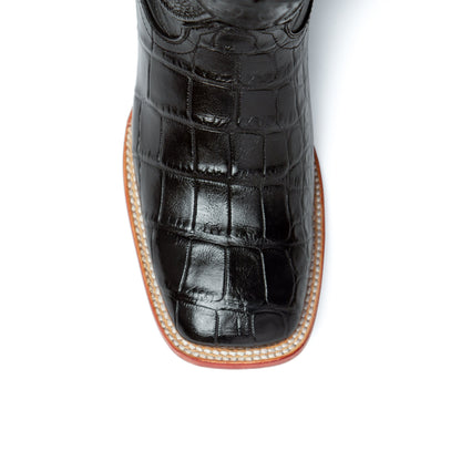 Stallion - American Alligator