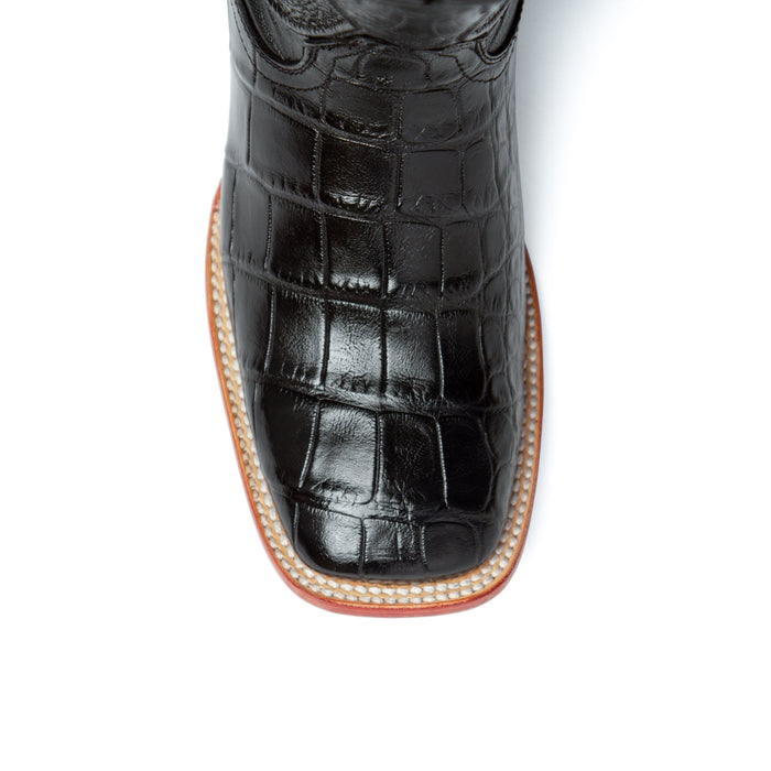 Stallion - American Alligator