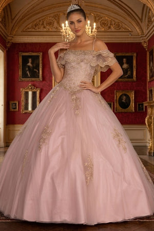 Off Shoulder Quinceañera Ball Gown Embroidered Lace-Up Back Floor Length by Elizabeth K GL2510