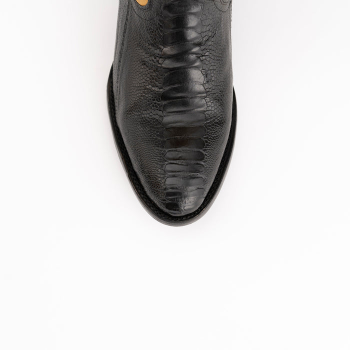 Nash - Ostrich Leg