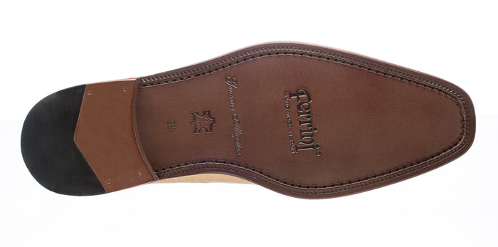 Belly Alligator 216
