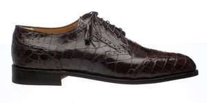 Belly Alligator 3673