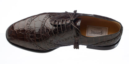 Belly Alligator 3673