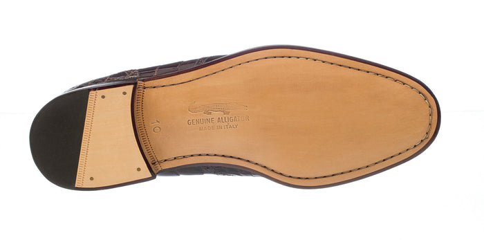 Belly Alligator 3673