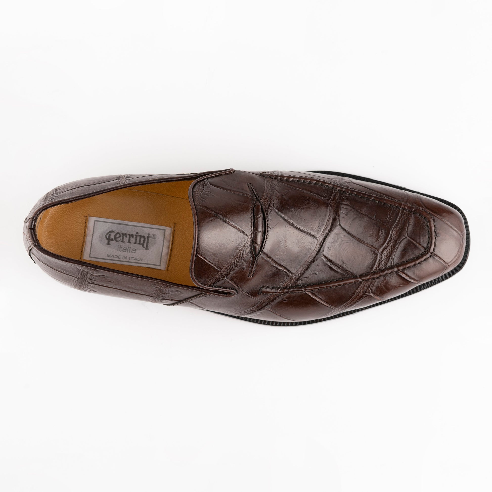Alligator 3877