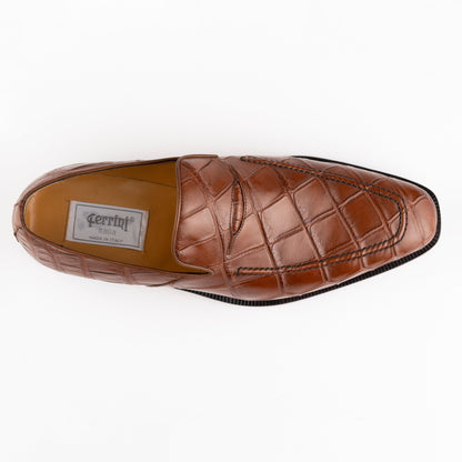 Alligator 3877