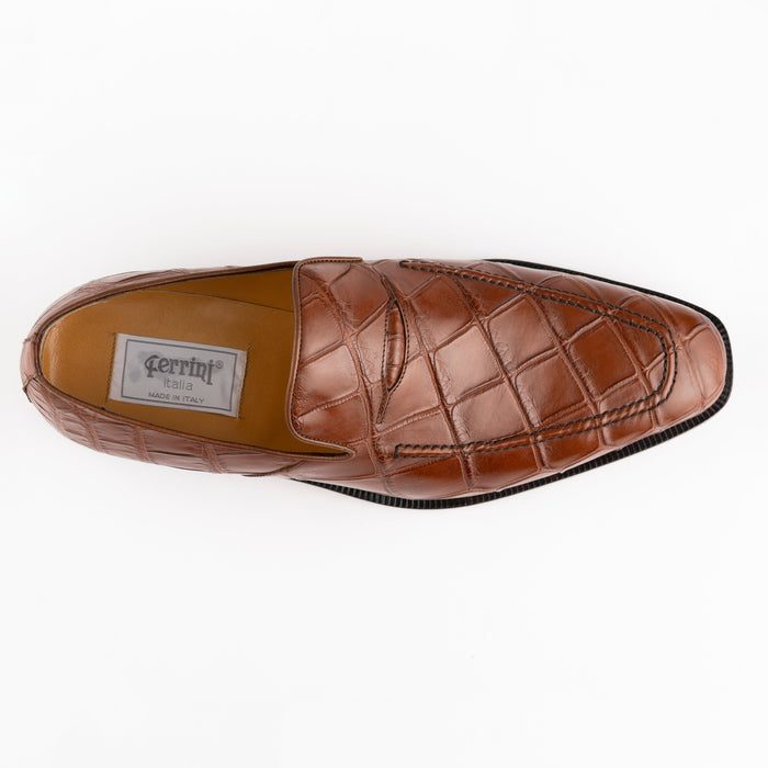 Alligator 3877