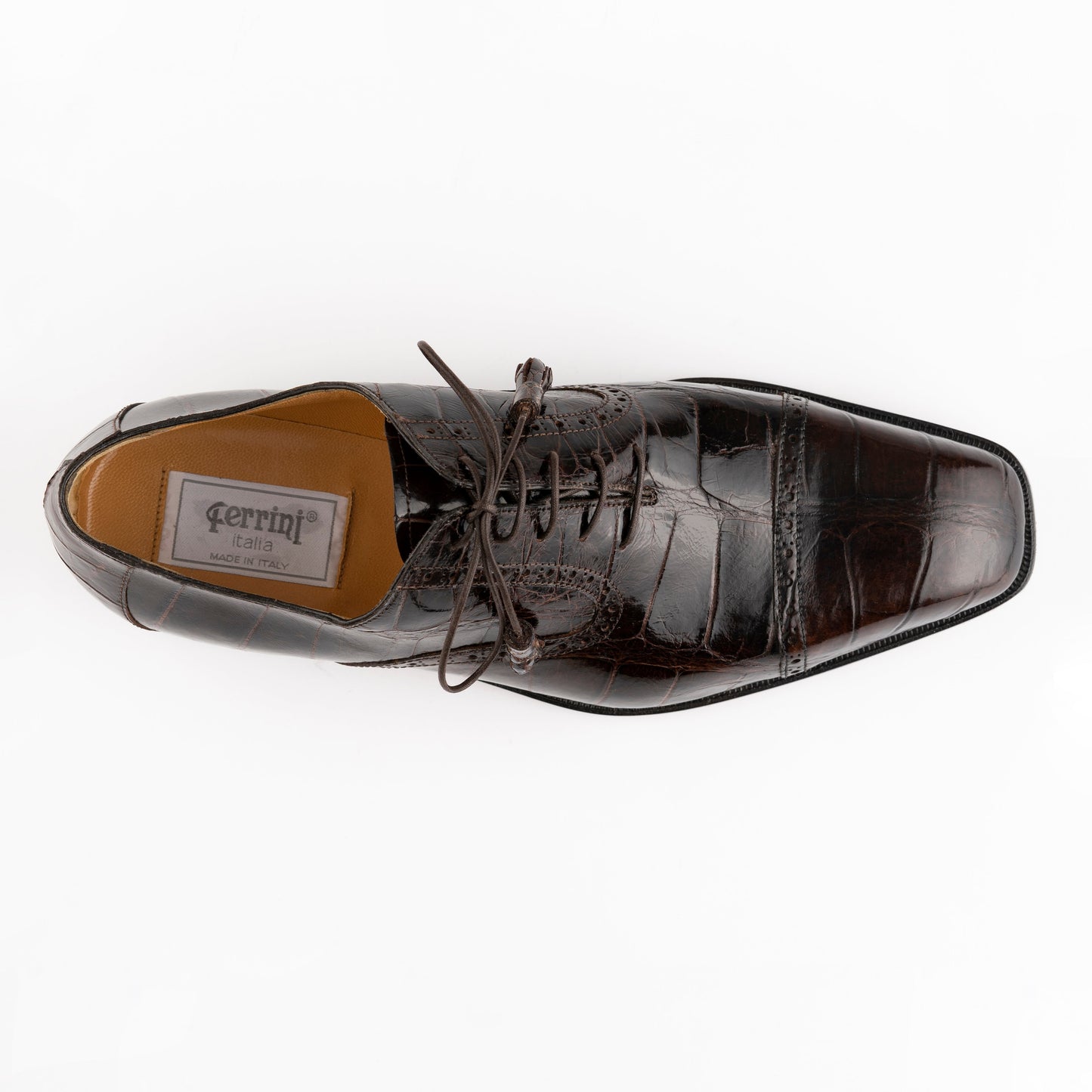 Belly Alligator-3922