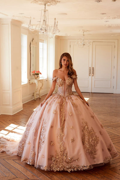 3D Butterfly Off Shoulder Ball Gown by Juliet JT1485J - Rose Gold / 2 - Quinceanera Dresses