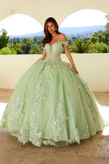 3D Butterfly Off Shoulder Ball Gown by Juliet JT1485J - Sage Green / 2 - Quinceanera Dresses