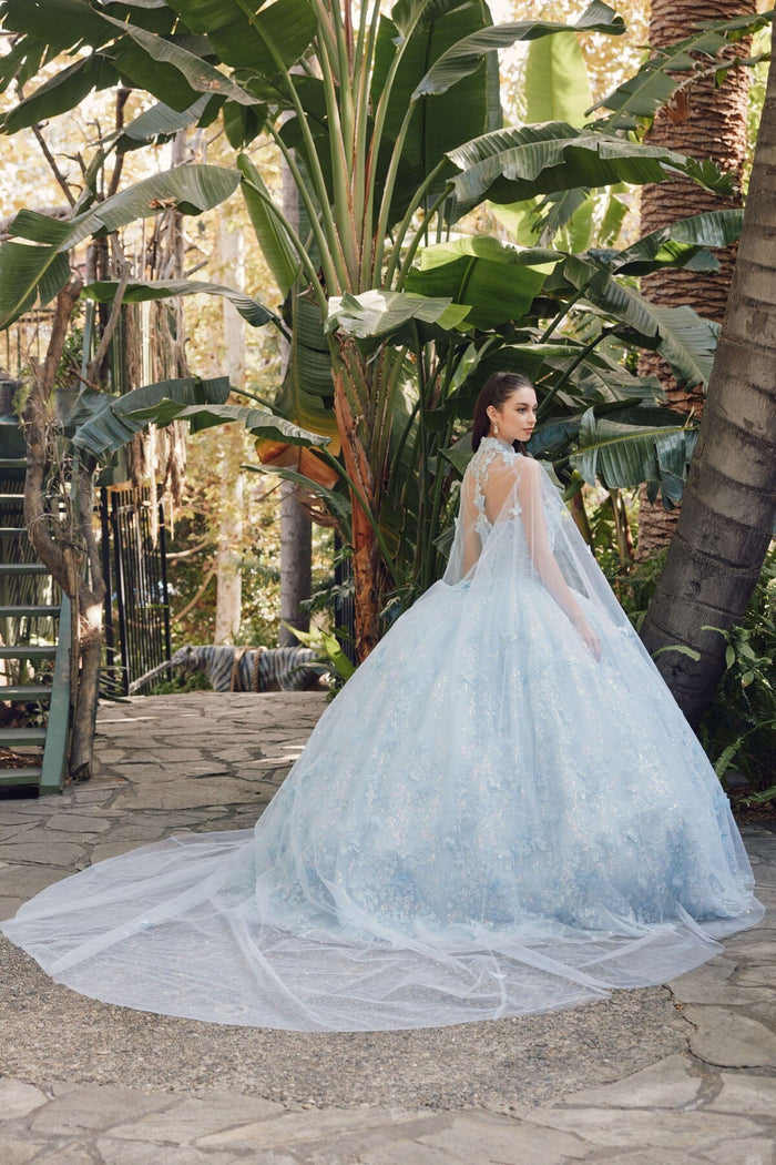 Juliet 1449J 3D Butterfly Applique Glitter Tulle Strapless Quinceanera Dress