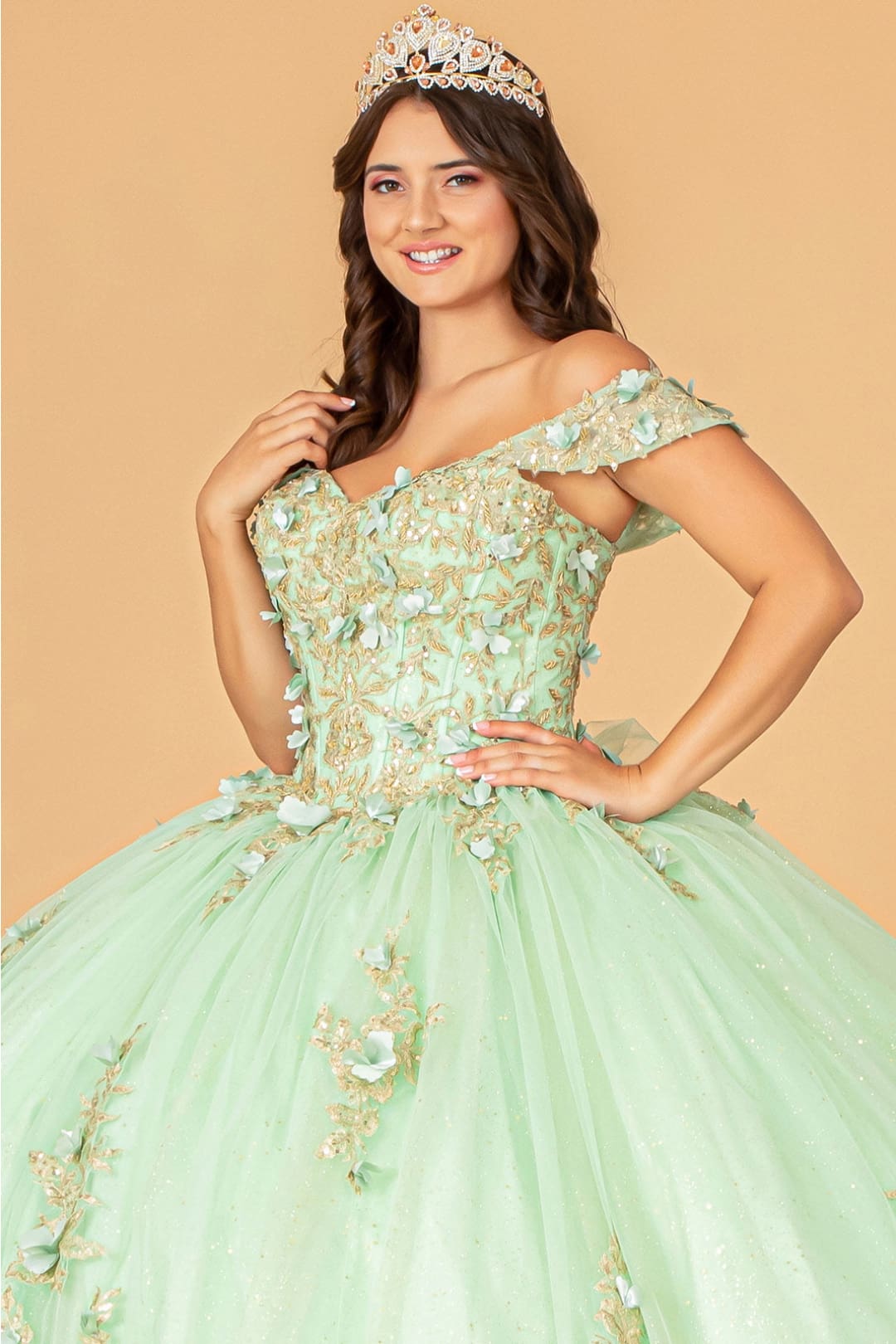 3D Floral Off Shoulder Ball Gown by Elizabeth K GL3102 - Quinceanera Dresses