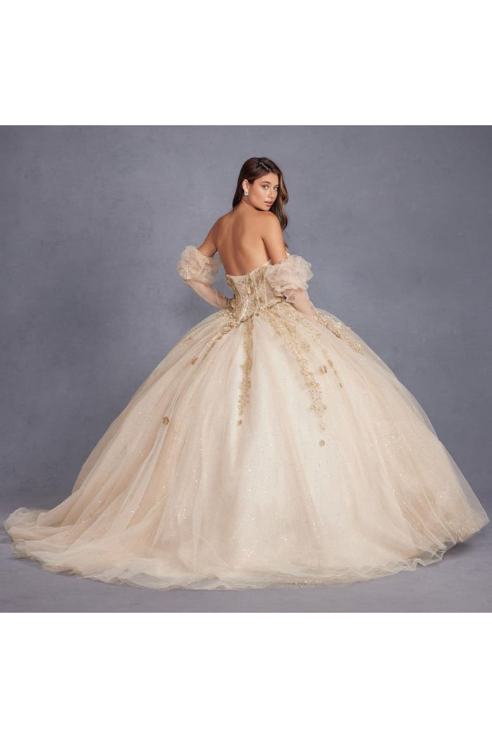 3D Floral Puff Sleeve Ball Gown by Juliet JT1465H