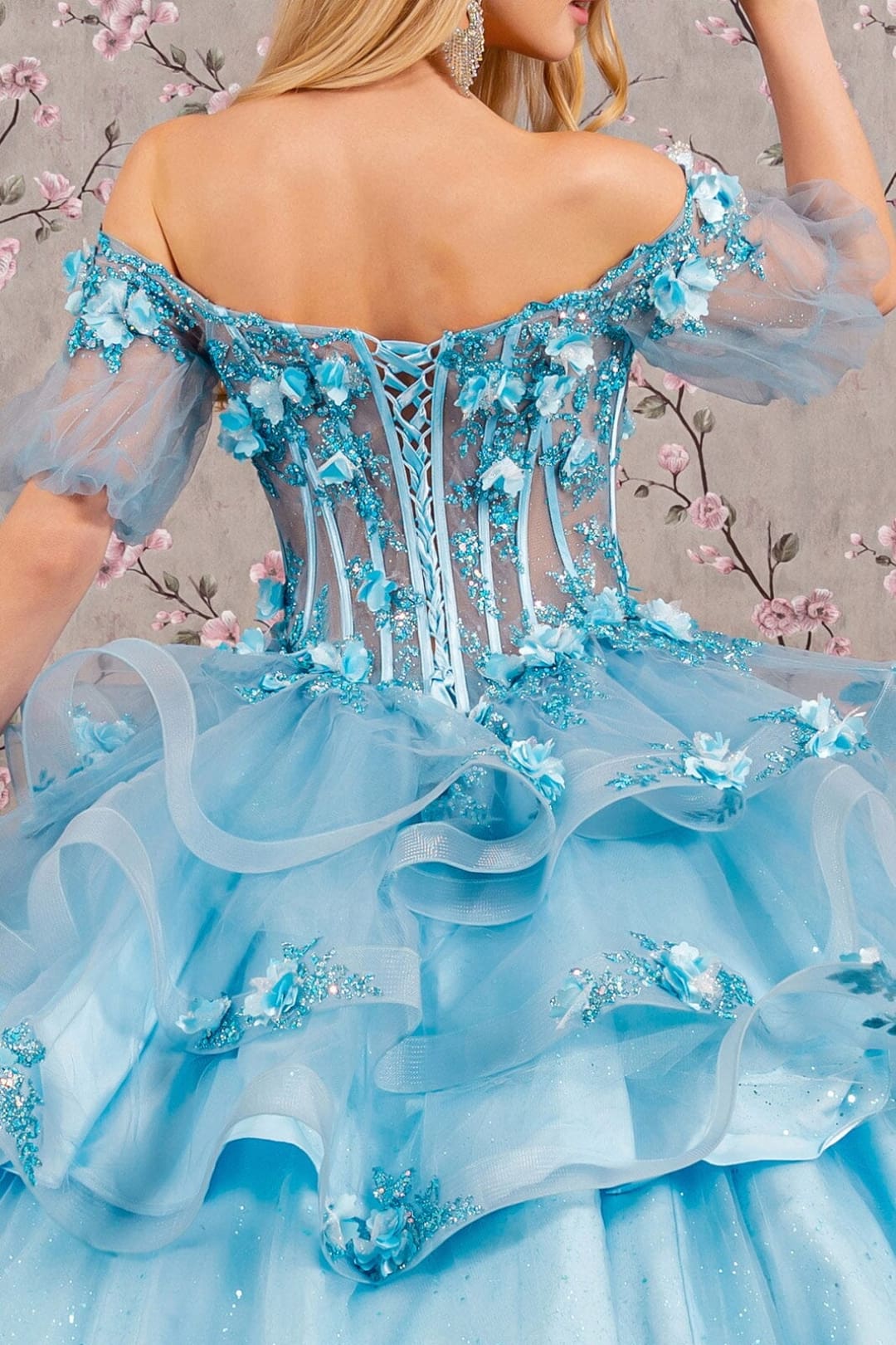3D Floral Sheer Bodice Ball Gown by Elizabeth K GL3180 - Quinceanera Dresses