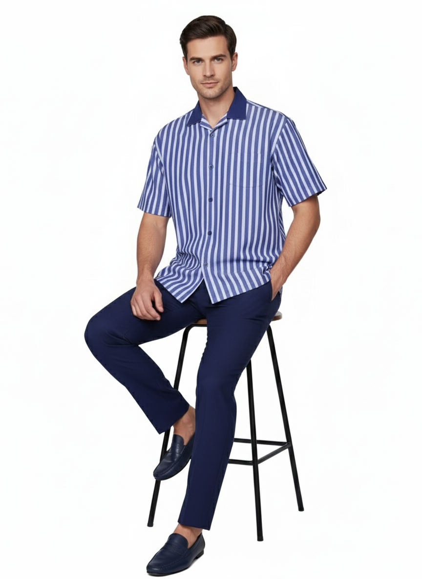 Mens Blue and White Vertical Stripe Short Sleeve Shirt Set  Casual Summer Two-Piece Outfit