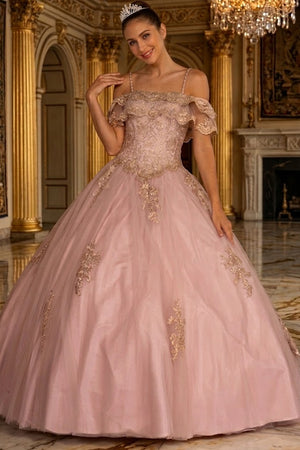 Off Shoulder Quinceañera Ball Gown Embroidered Lace-Up Back Floor Length by Elizabeth K GL2510